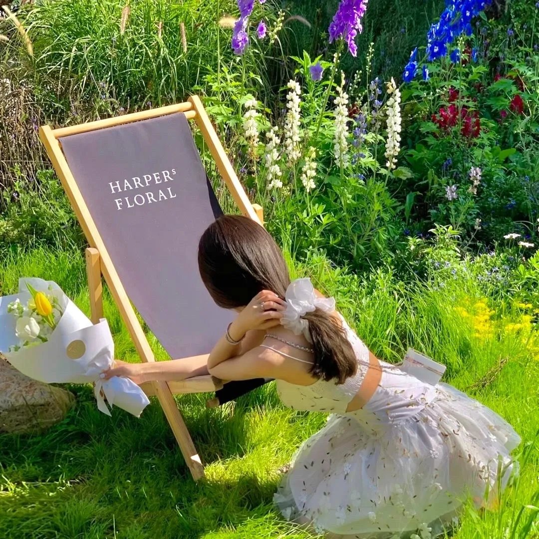 失忆乞丐女主的逆袭之路